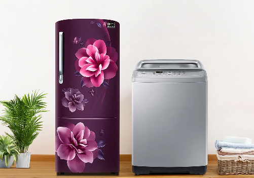 Single Door Fridge and Top Load Washing Machine Combo